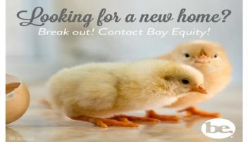 Mona Edick, Bay Equity Home Loans