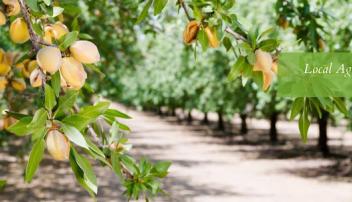 Yosemite Farm Credit-Los Banos