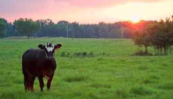 Farm Credit of Western Arkansas