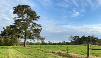 Carolina Farm Credit